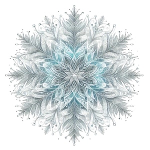 Sneeuwvlokken clipartbundel, ingewikkelde delicate sneeuwvlokontwerpen, winter clipart, kerstdecor, digitale download, commercieel gebruik