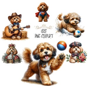Cavapoo clipart, aquarel hond clipart, bundelset, cavapoo png, kaarten maken, hoge kwaliteit png, junkjournaling