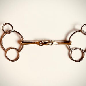 Può includere: Un morso per cavallo in acciaio inossidabile con barra centrale e anelli color oro. Il morso ha un design a doppia articolazione ed è usato per controllare un cavallo. Gli anelli sono circolari.