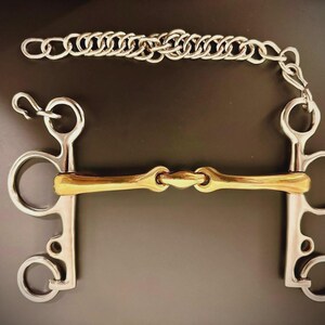 May include: A horse bit with a silver frame and a gold-coloured mouthpiece. A silver chain is attached to the top. The bit has a symmetrical design with rings and curved bars.