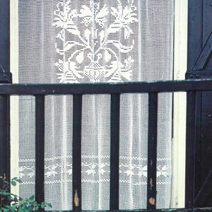 May include: White lace curtain with a floral design, hanging in a window. The curtain is visible through a black wooden railing. The window frame is white, and the exterior is dark.