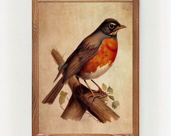 American Robin Watercolor Painting, Printable Robin, Bird Rustic Decor, Robin Bird Wall Art, Cute Garden Bird - Instant download digital