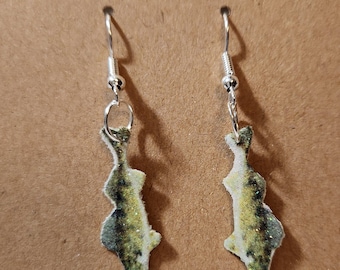 Walleye Earrings, Sauger Earrings, Walleye Fishing, Walleye Jewelry, Fish  Earrings, Fish Jewelry, Fishing Earrings, Fishing Jewelry, Sauger 