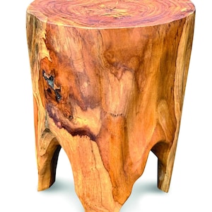 May include: A cylindrical stool carved from a single piece of natural wood, featuring a warm amber and brown grain pattern with visible growth rings on the flat top surface and an irregular, organic base with three distinct carved leg supports.