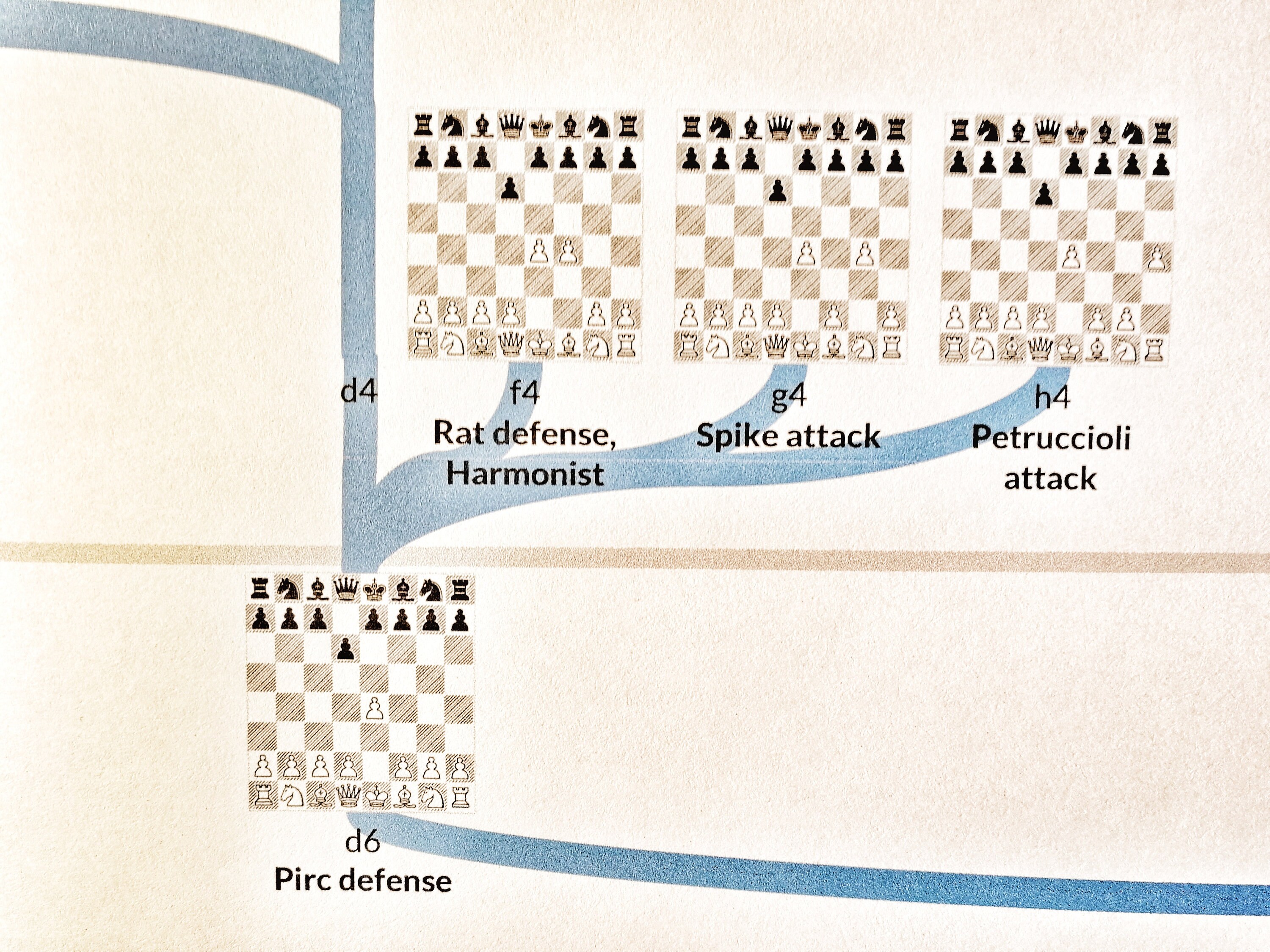 Pirc and Modern Defense Chess Poster for Beginnerschess Moves - Etsy