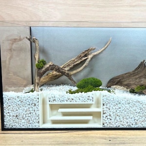 Enchanting Mystic Maze Aquarium Hideout: Interactive Hiding Cave for Shrimps, Fish, and Other Aquatic Animals