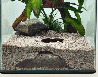 Inspired by nature aquarium/terrarium hiding cave Amboni | versatile and engaging cave design for water landscapes