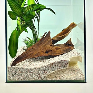 Oasis Corner Cave - Cozy Hideout for Terrarium and Aquarium Pets. Perfect hideout for Snakes, Lizards, Spiders & Fish - 3 sizes
