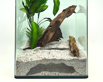 Subterranean Splendor: Wide Entry Aquarium Wave Cave Perfect for