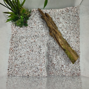 Pu&ograve; includere: Una superficie quadrata e strutturata composta da piccole pietre di colore chiaro, con un pezzo di legno alla deriva e vegetazione artificiale. Il legno alla deriva &egrave; marrone con macchie verdi. La vegetazione comprende foglie e succulente verdi e marroni.