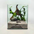Inspired by nature aquarium/terrarium hiding cave Amboni | versatile and engaging cave design for water landscapes product logo
