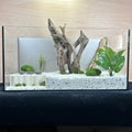L-Shaped Aquarium Cliff: Terrarium Cliffside Decoration product logo