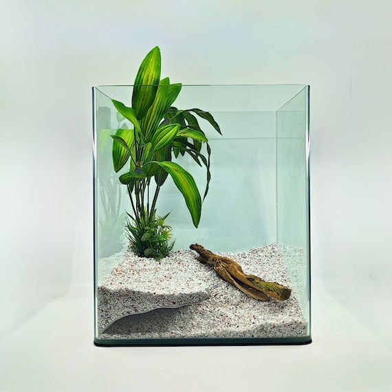 Pets at home aquarium plants hotsell