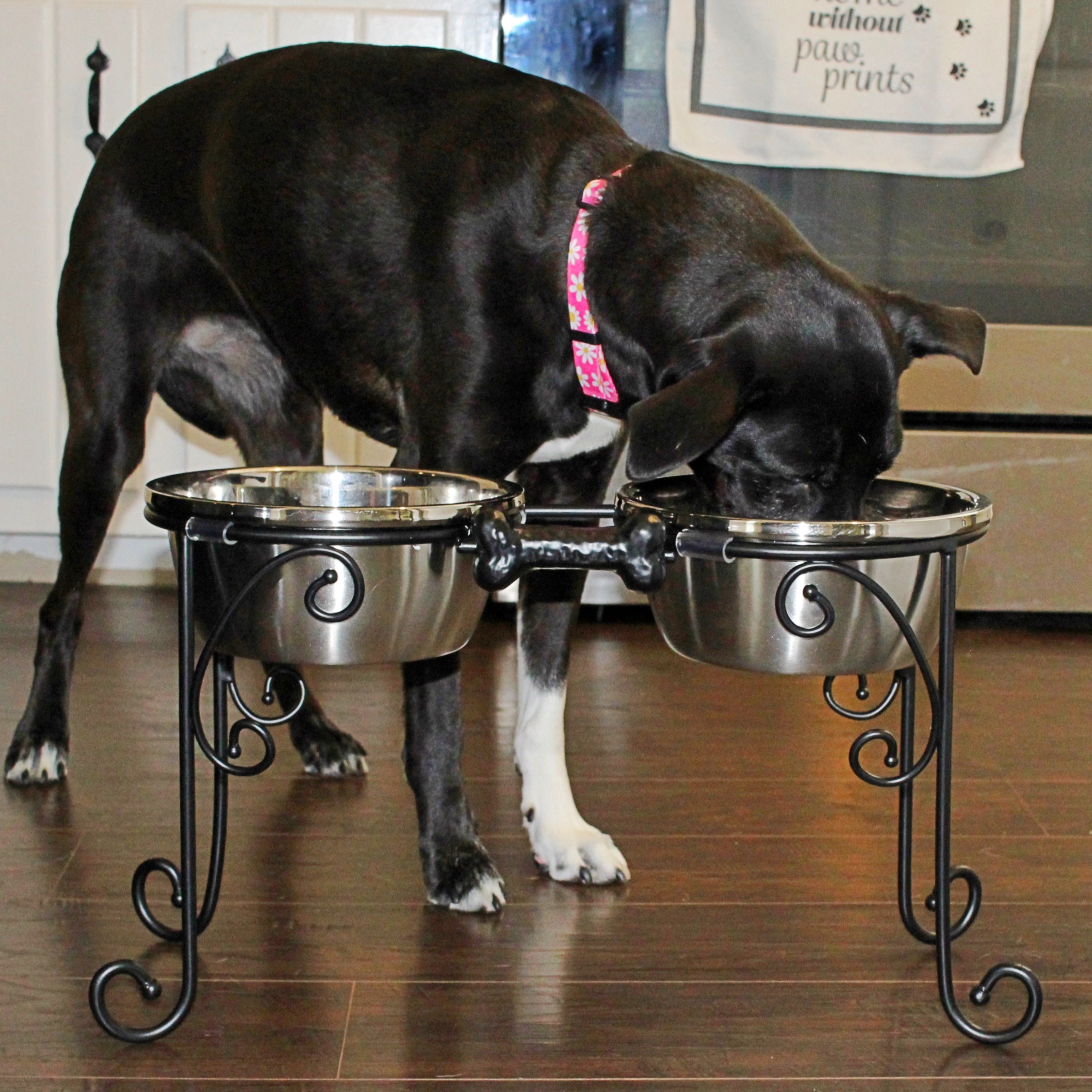 Regal Elevated Single Dog Bowl, Wrought Iron Stand. Small to Large