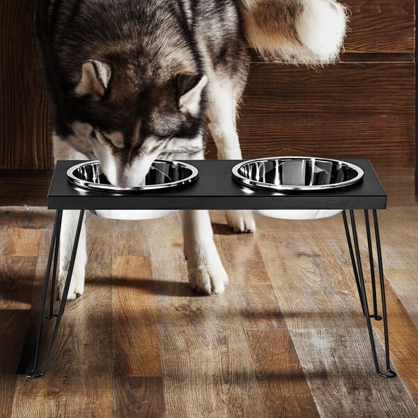 Elevated Dog Bowls, Stainless Steel Food and Water Bowls, Removable Hairpin Legs, Raised Dog Bowls for Medium and Large Dogs