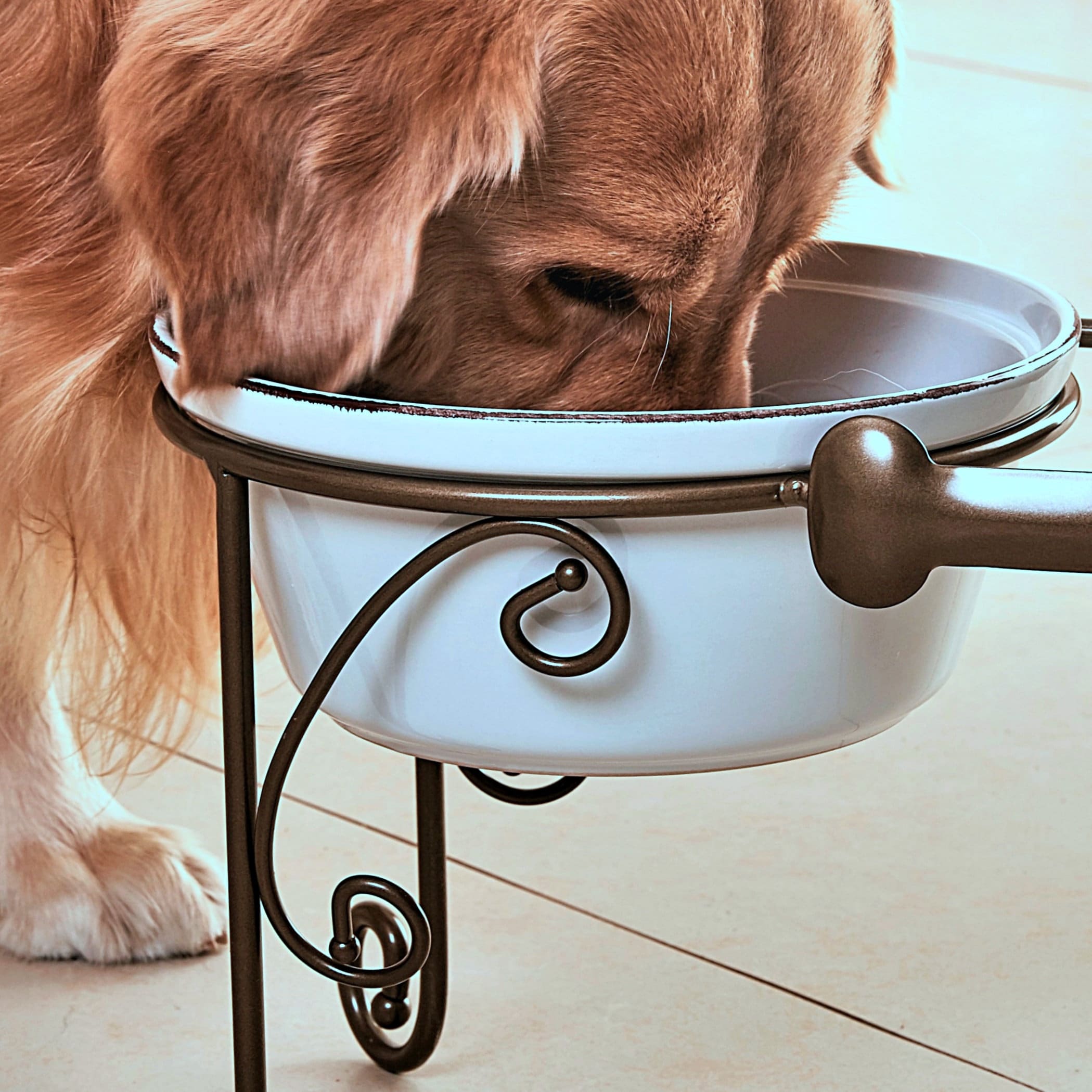 Wrought Iron Bone Dog Bowl Feeder