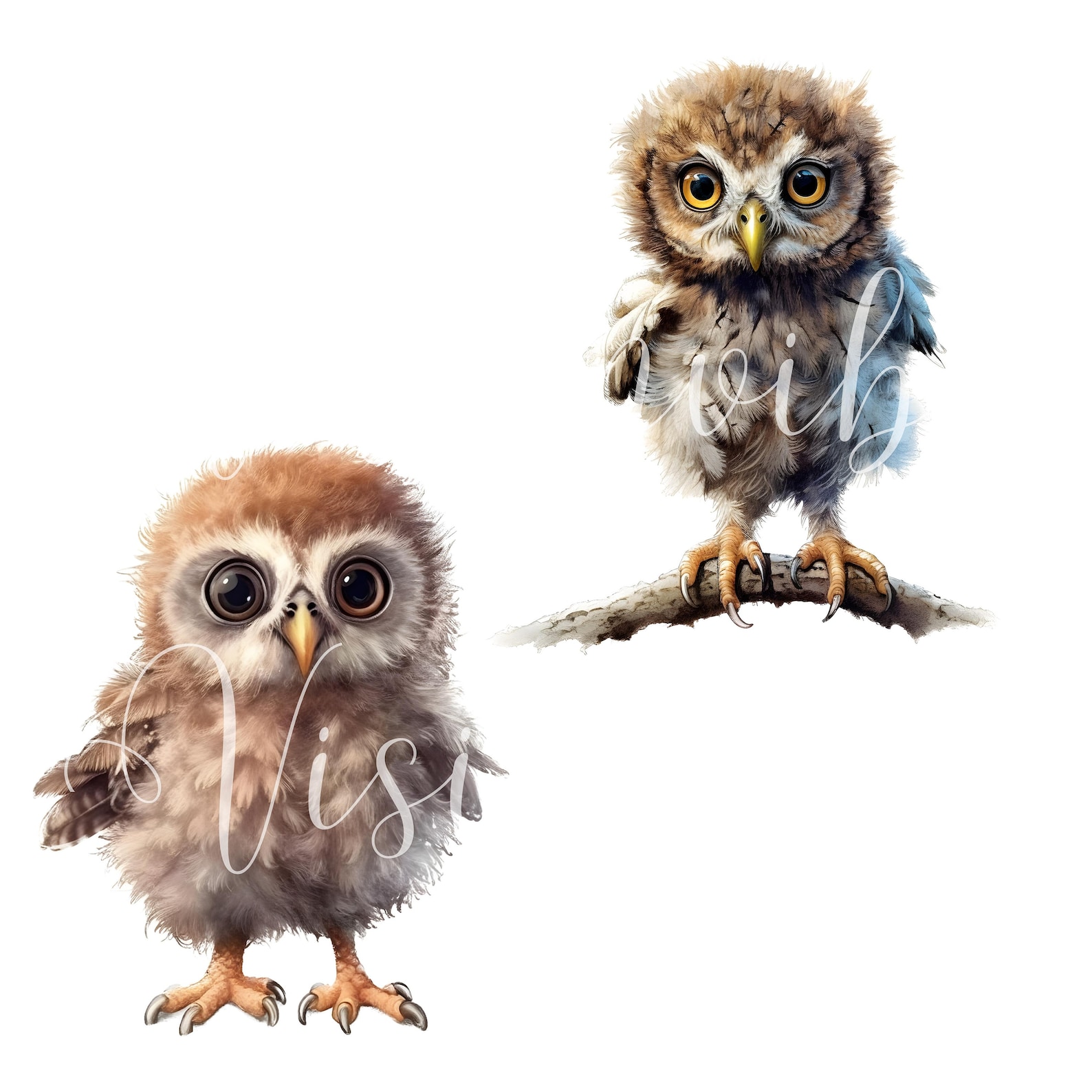 Baby Owl Clipart, Natural Color Owl Png, Cute Little Baby Birds Clipart ...