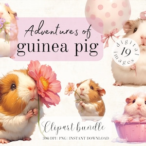 モルモットのイラスト、かわいいモルモットのクリップアート、高品質の商用無料PNGのバンドル、春の保育園の花のデザイン、かわいい動物、ペット