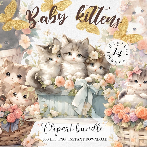 Kittens in Floral Basket Watercolor Clipart Bundle Vintage Cat and Flowers Png Cute Baby animals Junkjournal Scrapbooking Collage Commercial