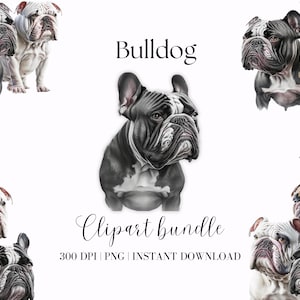 Bulldog Clipart Bundle Watercolor Bulldog Clipart Dog Lover Png Doglover Clipart Bulldog Png Dog Digital Image Cute Dog Junk Journal Clipart