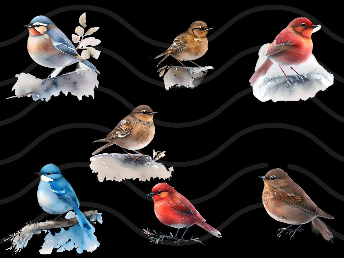 Winter Birds Clipart Bundle Watercolor Bird Clipart Christmas ...