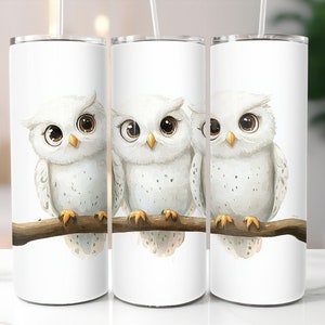 Emballage de gobelet hibou blanc mignon bébé hibou PNG 20 oz gobelet skinny PNG vacances d'hiver sublimation design numérique sans couture hiboux des neiges