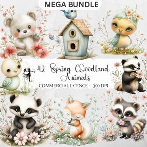 Aquarelle printanière animaux des bois Clipart renard PNG lunatique Woodland pépinière Junk Journal fournitures raton laveur impression Scrapbooking Sublimation