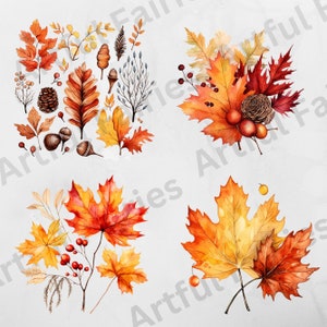 K&ouml;nnte beinhalten: Eine Sammlung von Aquarell-Illustrationen mit Herbstbl&auml;ttern in verschiedenen Rot-, Orange- und Gelbt&ouml;nen. Die Bl&auml;tter sind in Gruppen angeordnet und umfassen Ahornbl&auml;tter, Eichenbl&auml;tter und andere Herbstlaub. Die Illustrationen sind perfekt, um jedem Projekt einen Hauch von Herbst zu verleihen.
