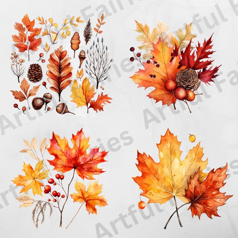 K&ouml;nnte beinhalten: Eine Sammlung von Aquarell-Illustrationen mit Herbstbl&auml;ttern in verschiedenen Rot-, Orange- und Gelbt&ouml;nen. Die Bl&auml;tter sind in Gruppen angeordnet und umfassen Ahornbl&auml;tter, Eichenbl&auml;tter und andere Herbstlaub. Die Illustrationen sind perfekt, um jedem Projekt einen Hauch von Herbst zu verleihen.