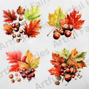 K&ouml;nnte beinhalten: Vier Aquarell-Illustrationen von Herbstbl&auml;ttern und Eicheln. Die Bl&auml;tter sind in Rot-, Orange-, Gelb- und Gr&uuml;nt&ouml;nen gehalten. Die Eicheln sind braun und haben eine Kappe oben. Die Illustrationen sind in einem Raster angeordnet.