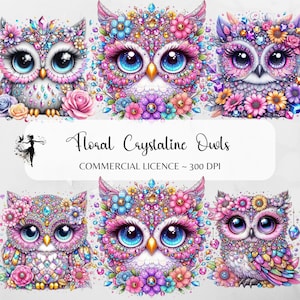 Eule PNG Clipart Bündel Kristall funkelnd Niedliche Eule Sublimation Junk Journal Eule druckbare Grafik Karte, die Scrapbooking-Baby-Dusche-Eule druckbar macht