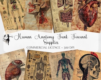 Menschliche Anatomie Ephemera Clipart Bundle Digitaler Planer Junk Journal Scrapbook Papier Kit Printable Papiere Collage Sheet Aquarell