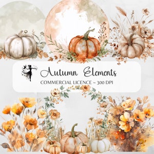 Herfst elementen clipart aquarel herfst grens bundel pompoen PNG neutrale boeketten herfst bloemen afbeeldingen bladeren seizoen terracotta bloemen