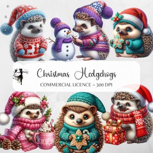Watercolor Hedgehog PNG Christmas Clipart Winter Sublimation Design Holidays DTF Transfer Gingerbread Tumbler Santa Hat Christmas Graphics