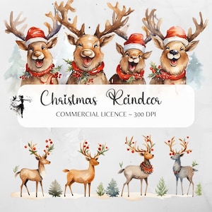 Renne PNG aquarelle renne Clipart mignon renne Noël PNG aquarelle Noël PNG Noël Clipart Noël cartes autocollants
