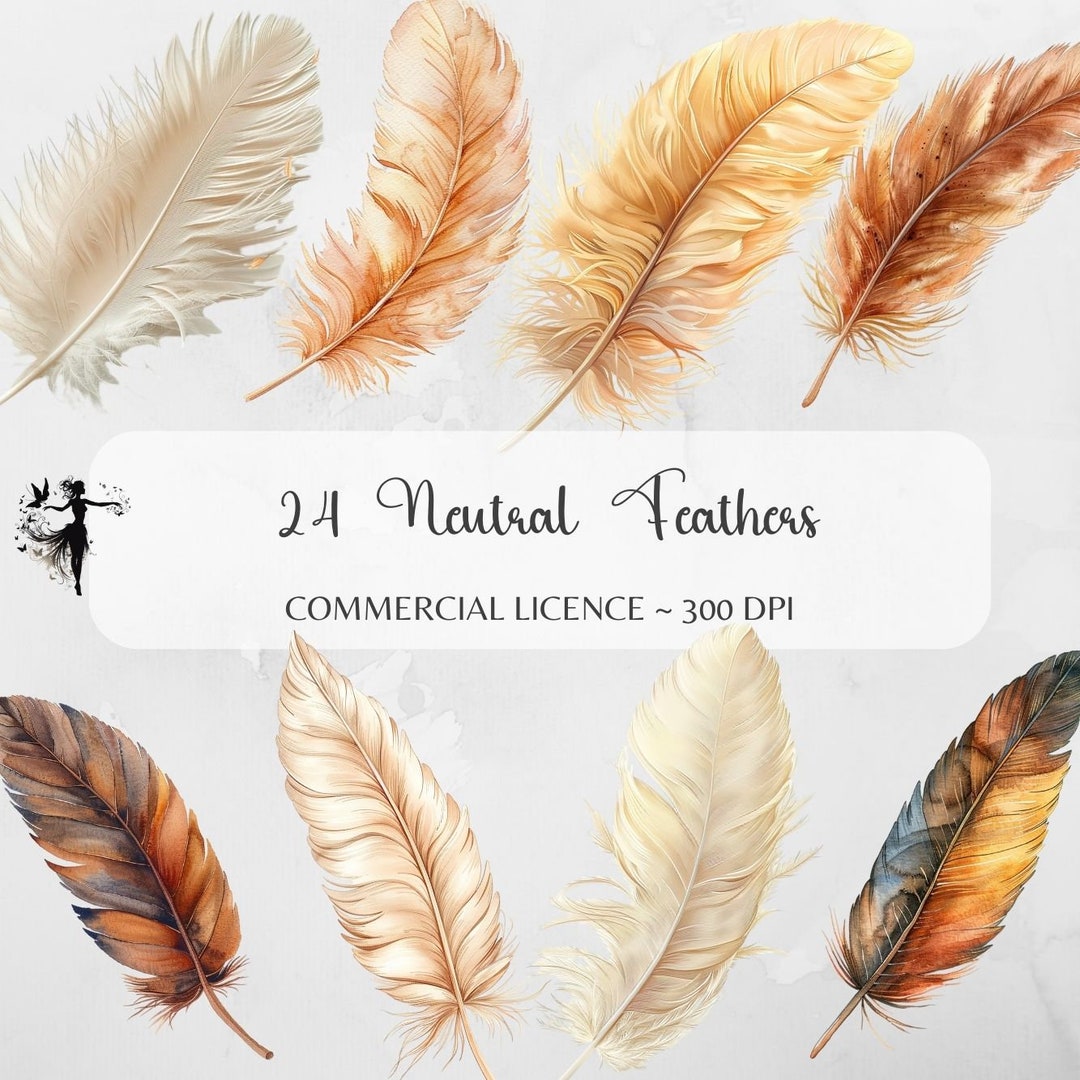 Neutral Feather Pattern Neutral Feathers Clipart Jungle Bridal PNG Pearl Clipart Beige Wedding ...
