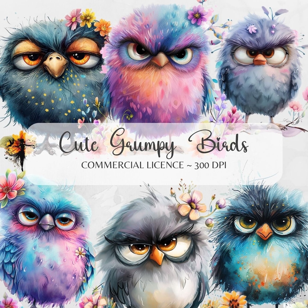 Cute Funny Bird Clipart Junk Journal Supplies Scrapbook Paper Pack ...