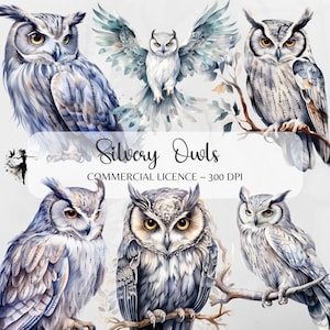 Silber Eule PNG Aquarell Eule Clipart Schnee Eule PNG Eulen Junk Journal Eule Druckbare Clipart Bundle Kartenherstellung Mixed Media Scrapbooking PNG