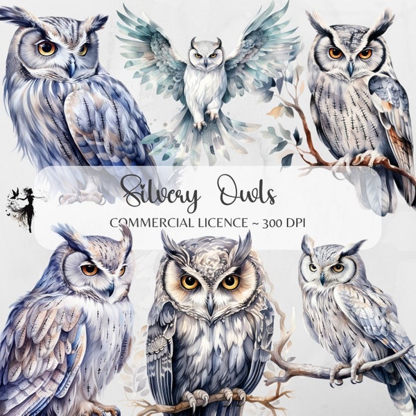 Silver Owl PNG Watercolor Owl Clipart Snowy Owl PNG Owls Junk Journal Owl Printable Clipart Bundle Card Making Mixed Media Scrapbooking PNG