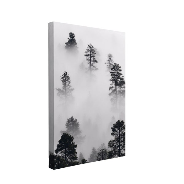 Tall Pine Trees | Handmade Canvas | Instant Damage-Free Hanging | Black and White Moody Photography | Wall Art Home Décor Print