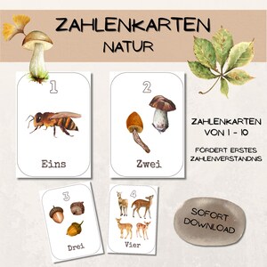 Karty liczbowe Natura 1–10 dla dzieci – PDF do wydrukowania | Rozumienie liczb | Rozpoznawanie ilości | Materiały edukacyjne dla przedszkola i żłobka | Fiszki