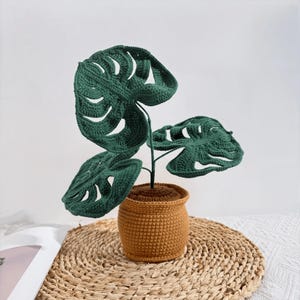 Peut inclure: Une plante Monstera au crochet faite à la main, avec des feuilles vert foncé et un pot marron. Les feuilles présentent des motifs découpés distinctifs. La plante est présentée sur un tapis tissé, créant un accent décoratif naturel.