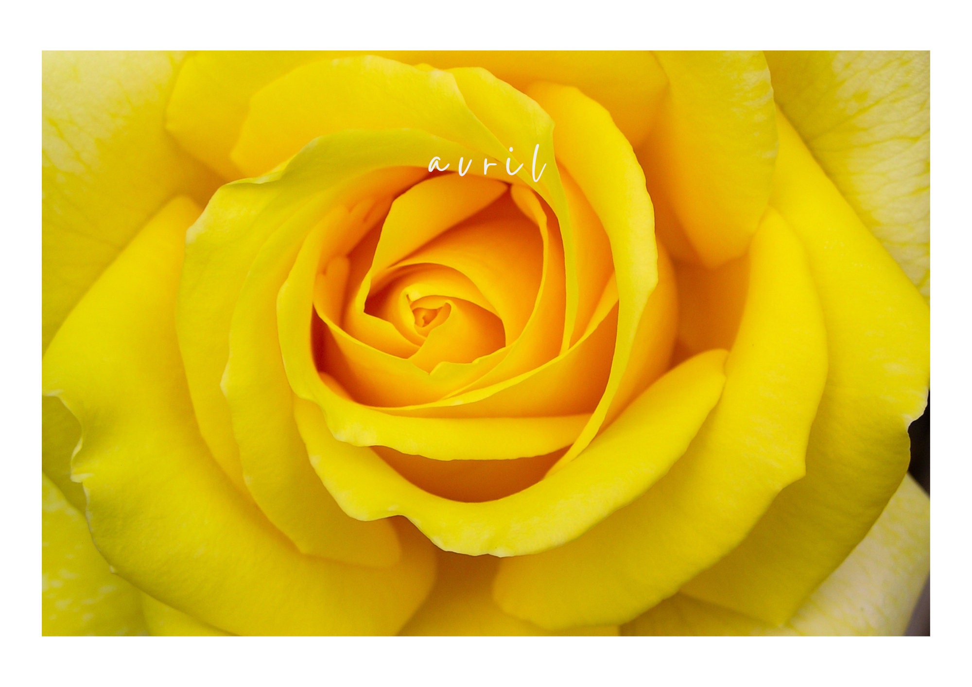 annual-calendar-2023-design-to-print-year-presented-on-2-pages-etsy
