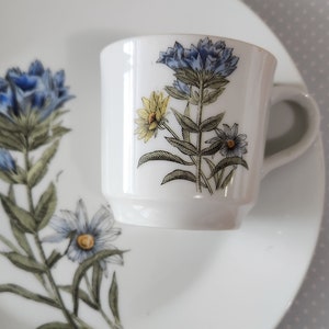 Vintage JSC Downy Gentian Flower Garden 10&quot; Plate and Teacup Fine China Set Mid-Century Modern