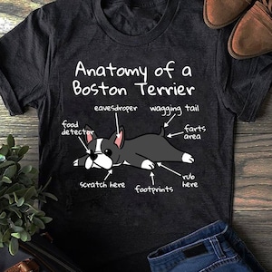 Anatomy Of A Boston Terrier Funny Dog Gift Pullover Hoodie - Funny Dog - Boston Terrier Lovers- Mother's Day