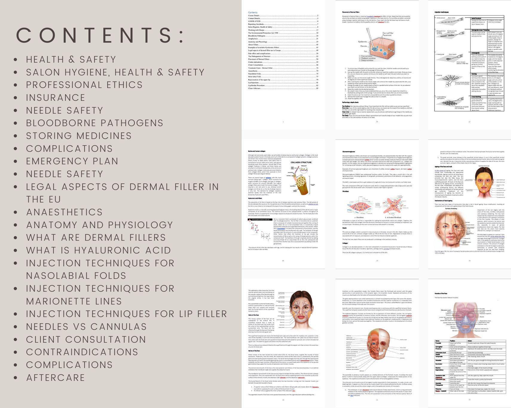 dermal-filler-digital-editable-training-manual-guide-usa-beauty