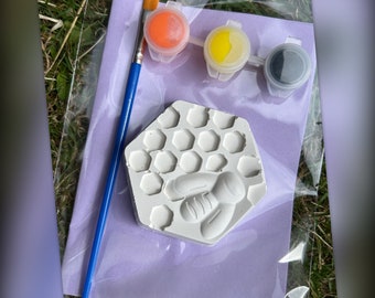 Honeycomb Plaster Kit - Party Favour Bag - Kids Fun Activity - Paint Kit