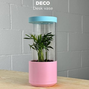 Könnte beinhalten: Eine moderne Schreibtischvase mit einem zylindrischen, transparenten Acrylkörper, einem hellblauen Deckel und einem rosa Sockel. Die Vase enthält eine kleine grüne Pflanze. Der Text "DECO Desk vase" ist oben aufgedruckt.