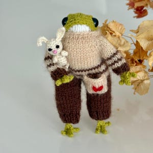 Plüschfrosch,Amigurumi Frosch,gestrickter Frosch,Amigurumi Puppe,gehäkelter Frosch,Bio Spielzeug,Geschenk für Kinder,Geschenk Freundin