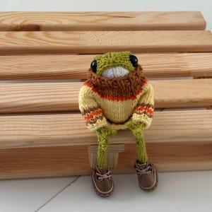 Può includere: Una rana di lana verde che indossa un maglione a righe gialle e marroni con un collo alto marrone. La rana è seduta su una panchina di legno.